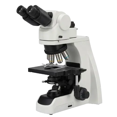 Microscopio